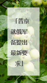 普京就俄军备提出最新要求
