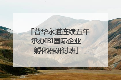 普华永道连续五年承办IBI国际企业孵化器研讨班