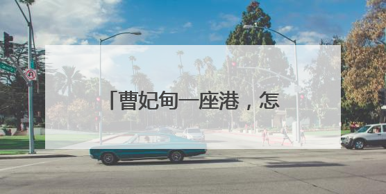 曹妃甸一座港，怎样带动一座城？人民日报记者调查