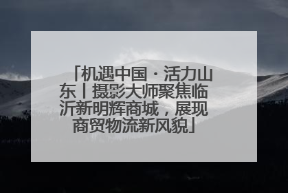 机遇中国・活力山东丨摄影大师聚焦临沂新明辉商城，展现商贸物流新风貌