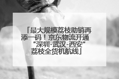 最大规模荔枝助销再添一码！京东物流开通“深圳-武汉-西安” 荔枝全货机航线