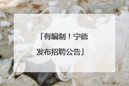 有编制！宁德发布招聘公告