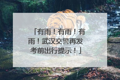 有雨！有雨！有雨！武汉交警再发考前出行提示！
