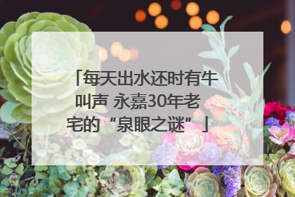每天出水还时有牛叫声 永嘉30年老宅的“泉眼之谜”