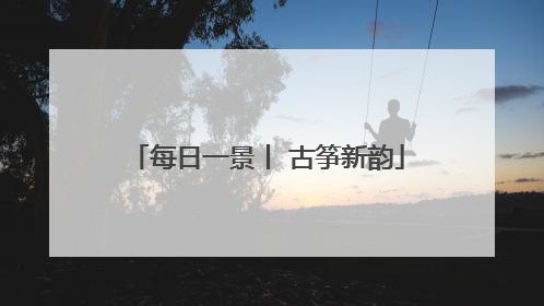 每日一景丨 古筝新韵
