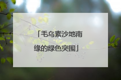 毛乌素沙地南缘的绿色突围