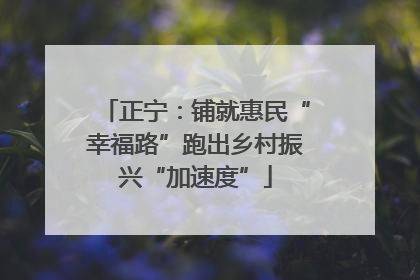 正宁：铺就惠民“幸福路”跑出乡村振兴“加速度”