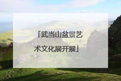 武当山盆景艺术文化展开展