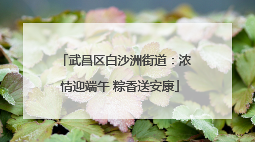 武昌区白沙洲街道：浓情迎端午 粽香送安康