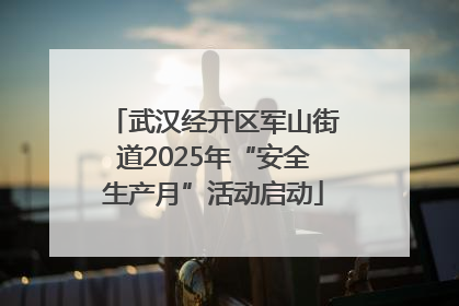武汉经开区军山街道2025年“安全生产月”活动启动