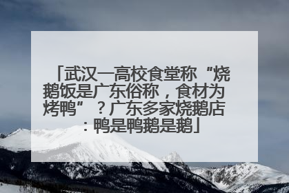 武汉一高校食堂称“烧鹅饭是广东俗称，食材为烤鸭”？广东多家烧鹅店：鸭是鸭鹅是鹅
