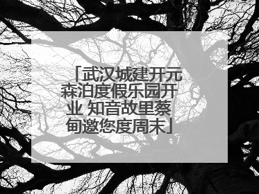 武汉城建开元森泊度假乐园开业 知音故里蔡甸邀您度周末