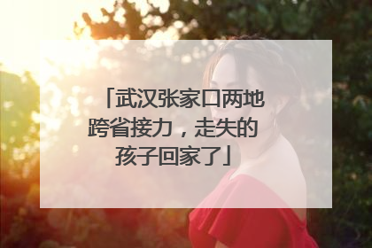 武汉张家口两地跨省接力，走失的孩子回家了