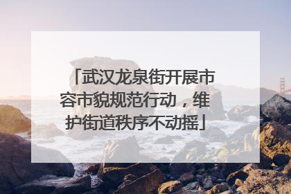 武汉龙泉街开展市容市貌规范行动，维护街道秩序不动摇
