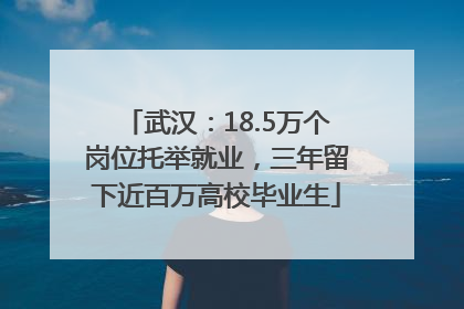 武汉：18.5万个岗位托举就业，三年留下近百万高校毕业生