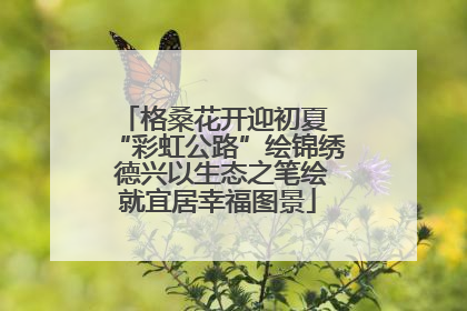格桑花开迎初夏 “彩虹公路”绘锦绣 德兴以生态之笔绘就宜居幸福图景