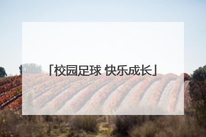 校园足球 快乐成长