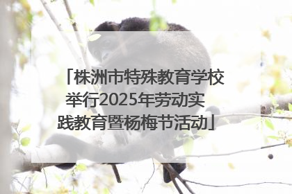 株洲市特殊教育学校举行2025年劳动实践教育暨杨梅节活动