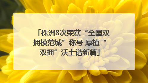 株洲8次荣获“全国双拥模范城”称号 厚植“双拥”沃土谱新篇