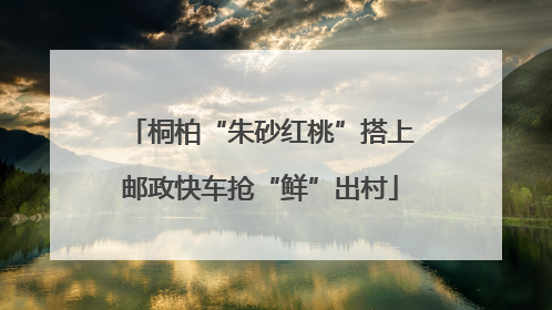 桐柏“朱砂红桃”搭上邮政快车抢“鲜”出村