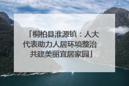 桐柏县淮源镇：人大代表助力人居环境整治 共建美丽宜居家园