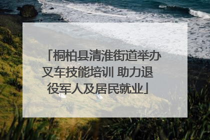 桐柏县清淮街道举办叉车技能培训 助力退役军人及居民就业
