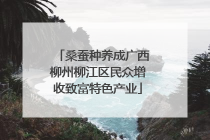 桑蚕种养成广西柳州柳江区民众增收致富特色产业