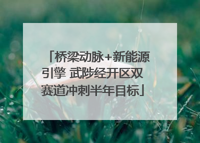 桥梁动脉+新能源引擎 武陟经开区双赛道冲刺半年目标