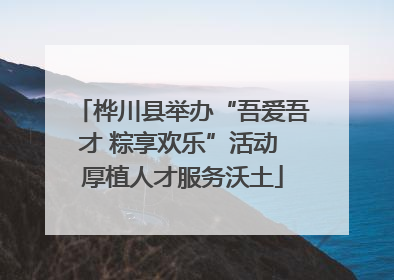 桦川县举办“吾爱吾才 粽享欢乐”活动 厚植人才服务沃土