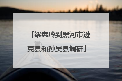 梁惠玲到黑河市逊克县和孙吴县调研