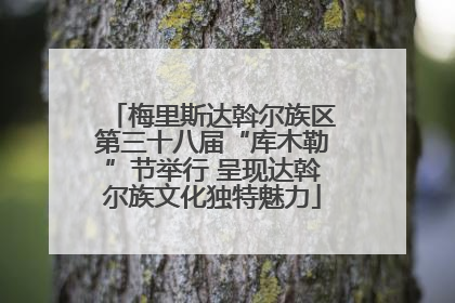 梅里斯达斡尔族区第三十八届“库木勒”节举行 呈现达斡尔族文化独特魅力
