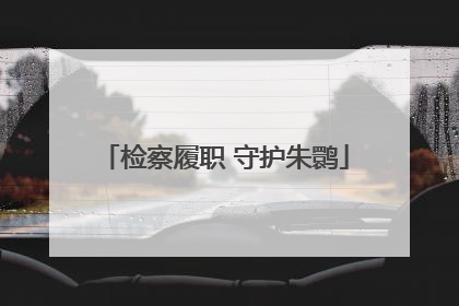 检察履职 守护朱鹮