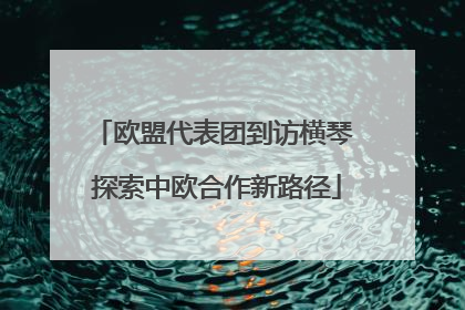 欧盟代表团到访横琴 探索中欧合作新路径