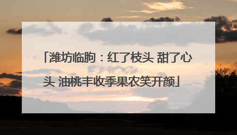 潍坊临朐：红了枝头 甜了心头 油桃丰收季果农笑开颜