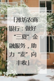 潍坊农商银行：做好“三夏”金融服务，助力“麦”向丰收