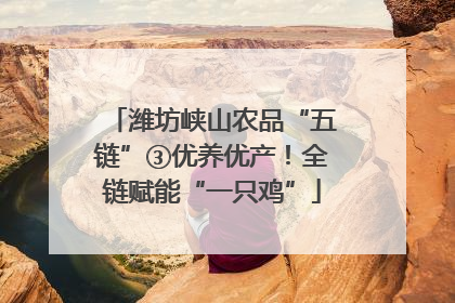 潍坊峡山农品“五链”③优养优产！全链赋能“一只鸡”