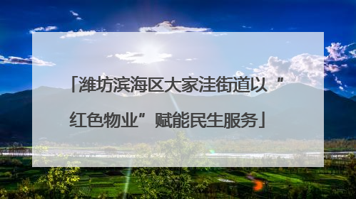 潍坊滨海区大家洼街道以“红色物业”赋能民生服务