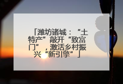 潍坊诸城：“土特产”敲开“致富门”，激活乡村振兴“新引擎”