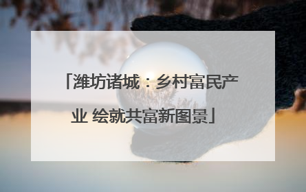 潍坊诸城：乡村富民产业 绘就共富新图景