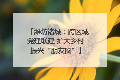 潍坊诸城：跨区域党建联建 扩大乡村振兴“朋友圈”