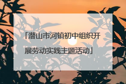 潜山市河镇初中组织开展劳动实践主题活动