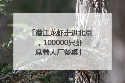 潜江龙虾走进北京，100000只虾席卷大厂餐桌
