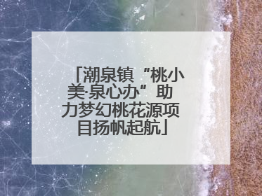 潮泉镇“桃小美·泉心办”助力梦幻桃花源项目扬帆起航