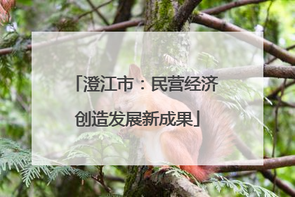 澄江市：民营经济创造发展新成果