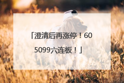 澄清后再涨停！605099六连板！