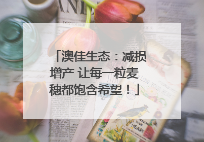 澳佳生态：减损增产 让每一粒麦穗都饱含希望！