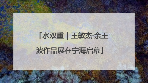 水双重｜王敏杰·余王波作品展在宁海启幕