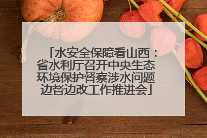 水安全保障看山西：省水利厅召开中央生态环境保护督察涉水问题边督边改工作推进会