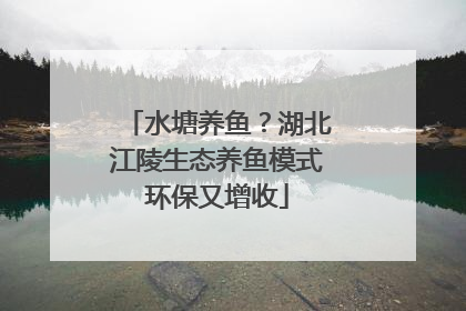 水塘养鱼？湖北江陵生态养鱼模式环保又增收