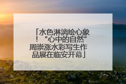 水色淋漓绘心象！“心中的自然”周崇涨水彩写生作品展在临安开幕